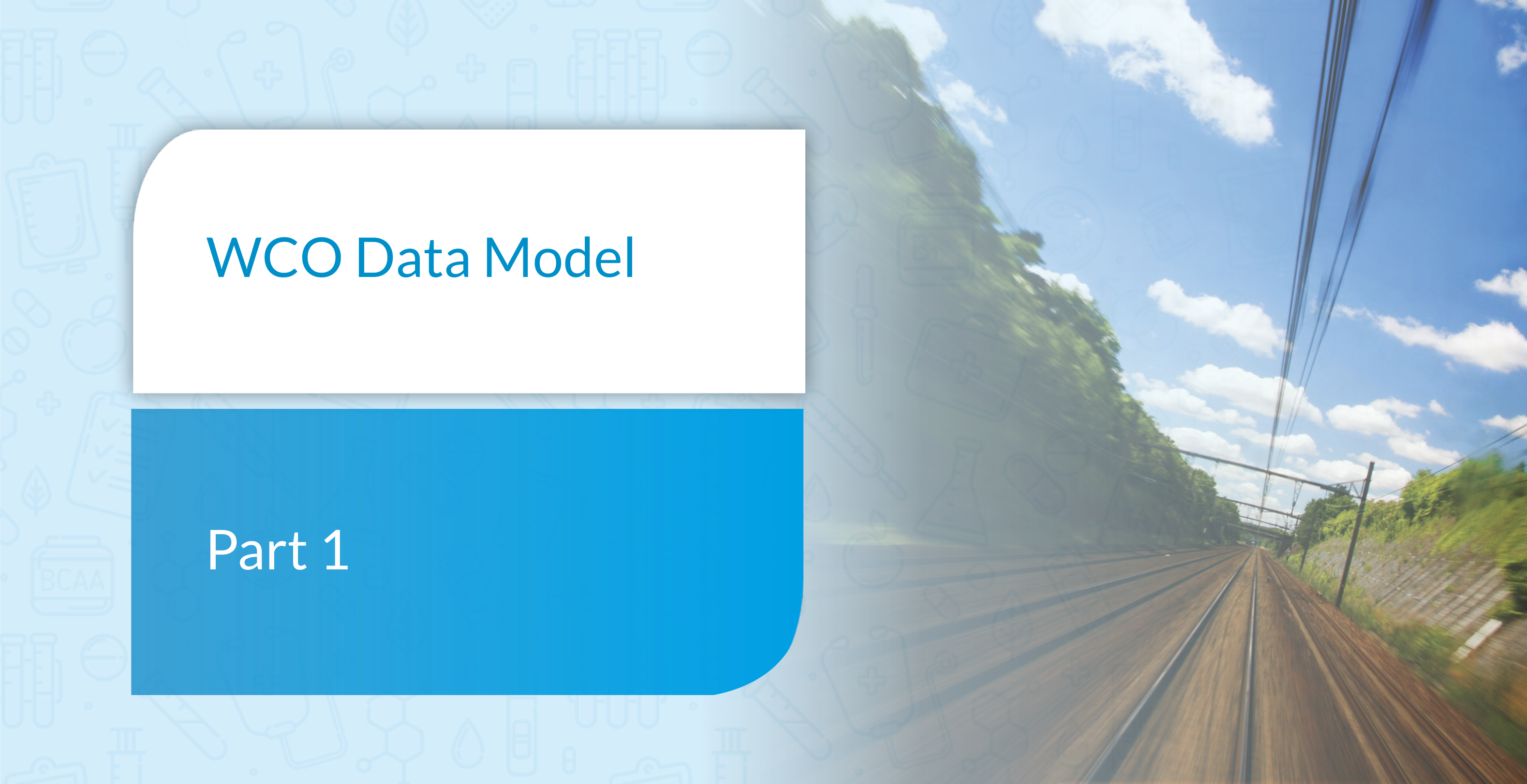 Wco Data Model Introduction To The Wco Data Model Wco Academy